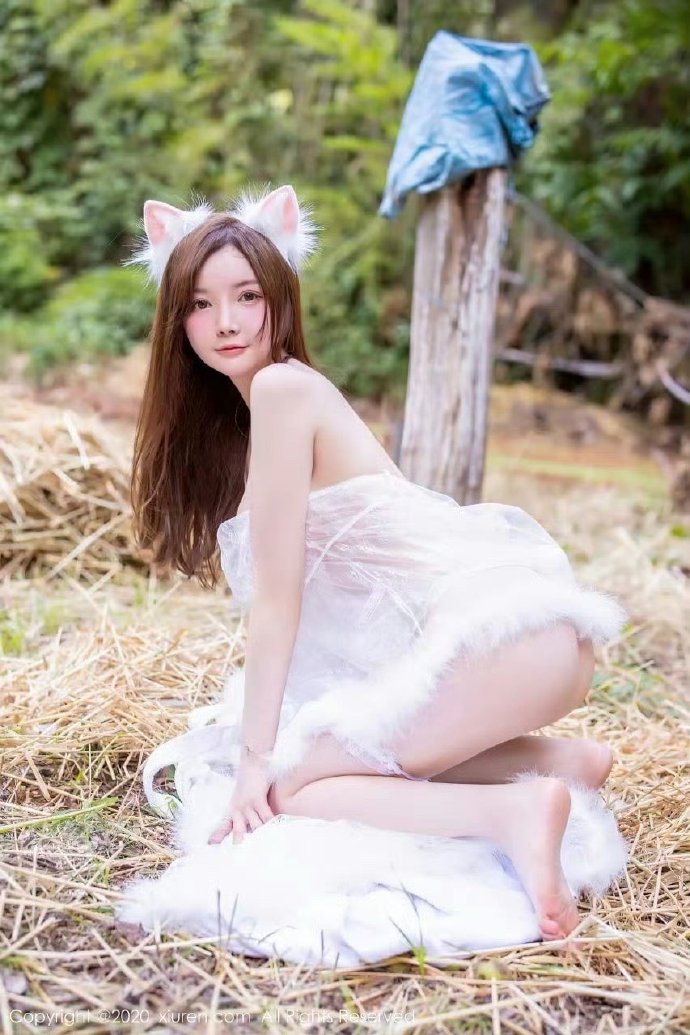 糖心传媒品牌视觉与内容传播画面